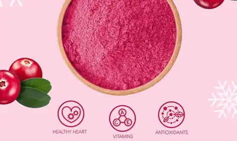 Guide to Importing Cranberry Fruit Powder in Bulk